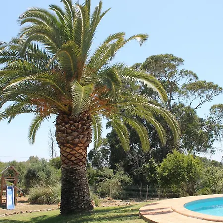 Alegria - A Private, Cozy Retreat In Nature Βίλα Λάγος