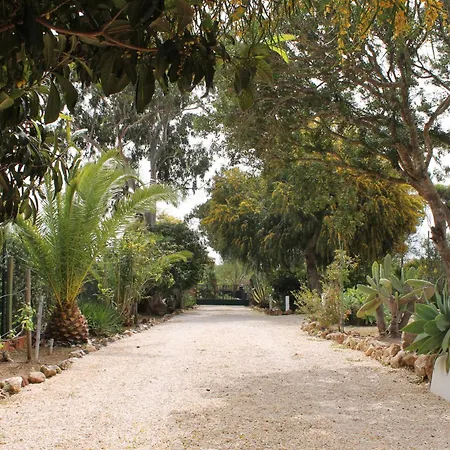 Alegria Villa *