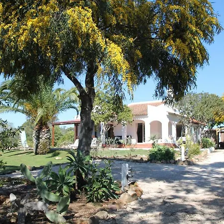 Alegria - A Private, Cozy Retreat In Nature