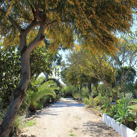 Villa Alegria